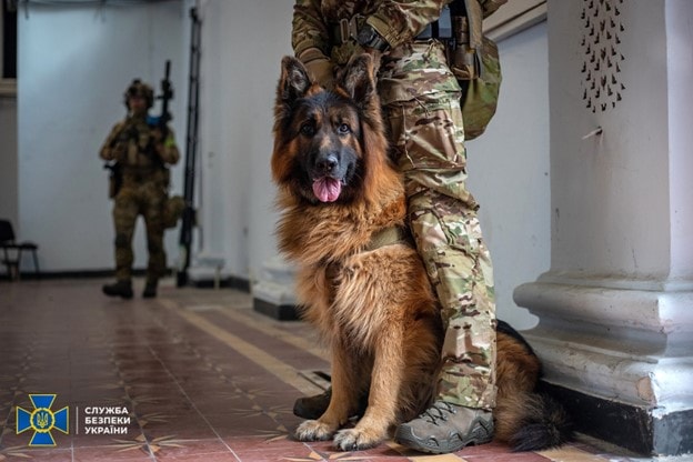 SBU military working dog with handler. 