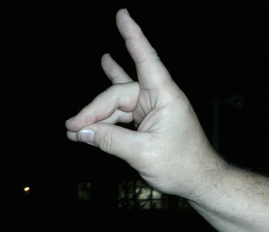 Image shows a hand making the bozkurt hand gesture which has the thumb touching the middle and the ring finger. 