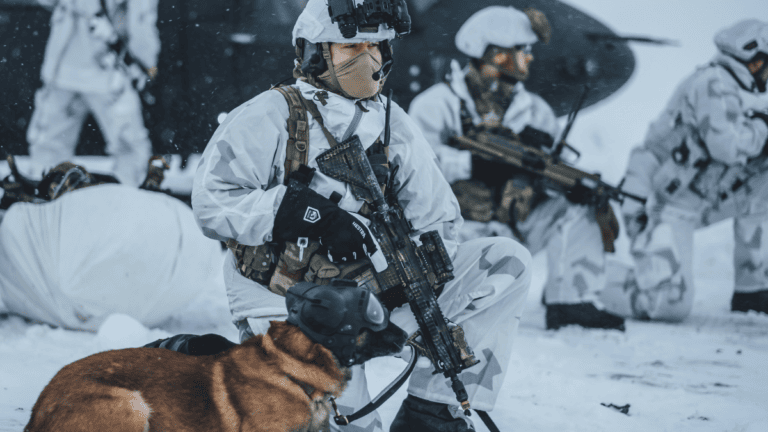 Norway's military personnel in Arctic warfare training