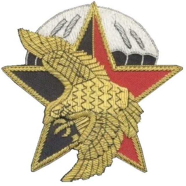 Emblem of the Action Division showing an eagle over a black and red star ontop of a parachute