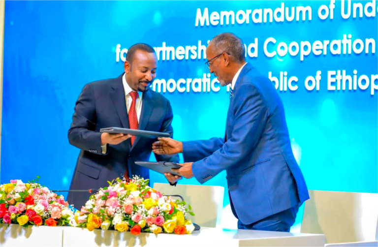Ethiopia’s Prime Minister Abiy Ahmed and Somalia's breakaway region Somaliland President Muse Bihi Abdi, attend the signing of the Memorandum of Understanding agreement, that allows Ethiopia to use a Somaliland port. Source: Prime Minister of Ethiopia.