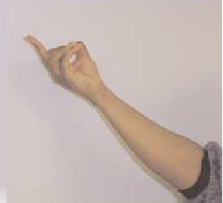 Gang Signs A Lexicon Of Violence