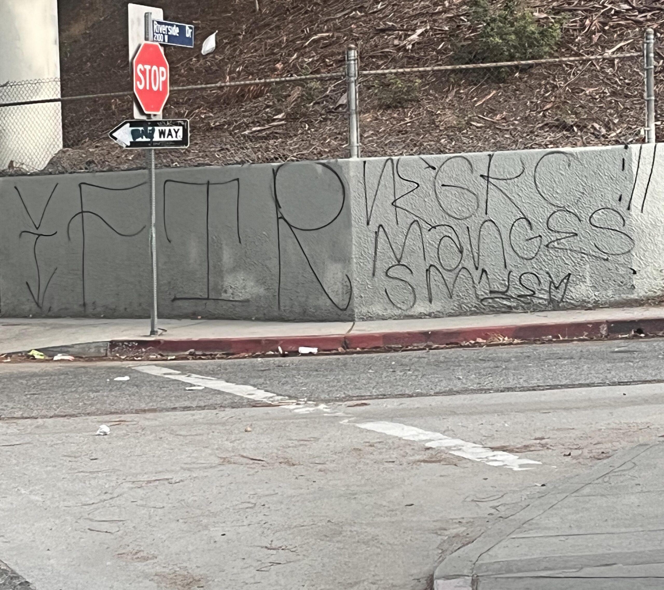 Gang Signs A Lexicon Of Violence