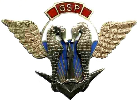 Commemorative badge of the Grupy Specjalne Płetwonurków (GSPs - Special Diver Groups)